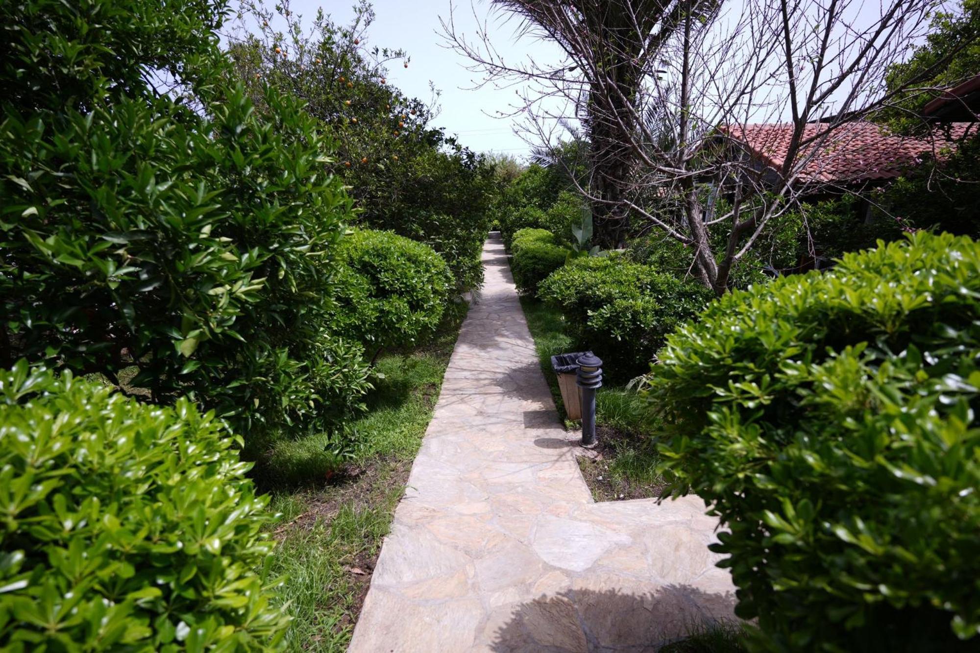 Cirali Hotel Çıralı