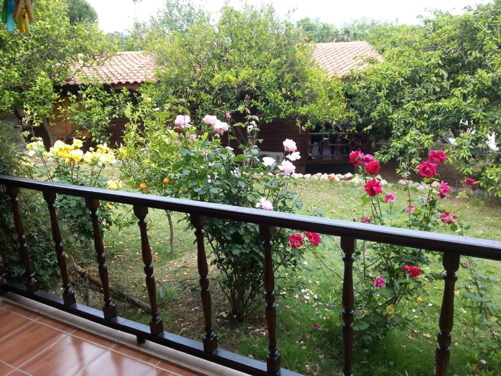Otel Cirali Hotel