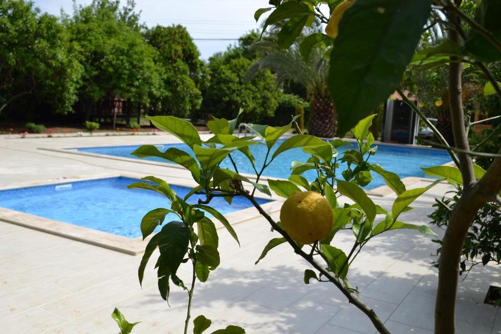 מלון Cirali Hotel 3*
